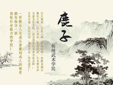 石家庄网站建设案例：鹿子传统武术院