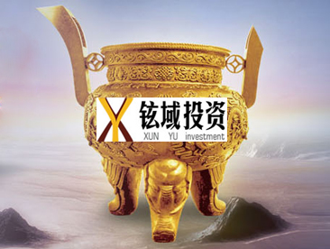 铉域投资