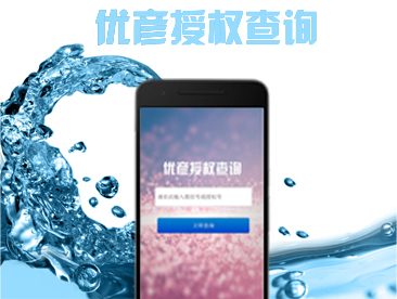 优彦授权查询
