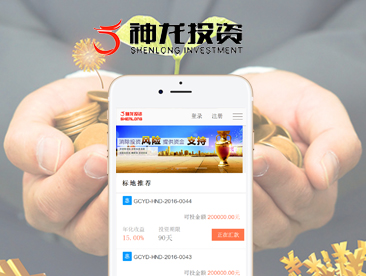 河北神龙投资咨询有限公司
