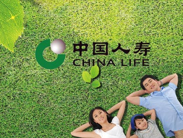 石家庄网站制作案例：中国人寿