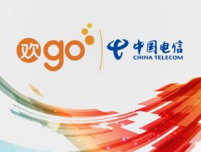 石家庄网站制作案例：河北电信●欢go