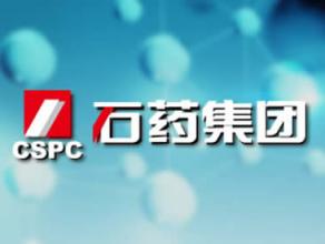 网站制作案例：石药集团-评比榜样的力量