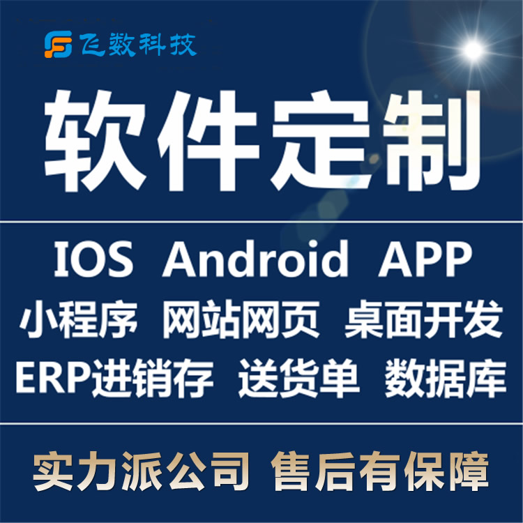 石家庄软件开发